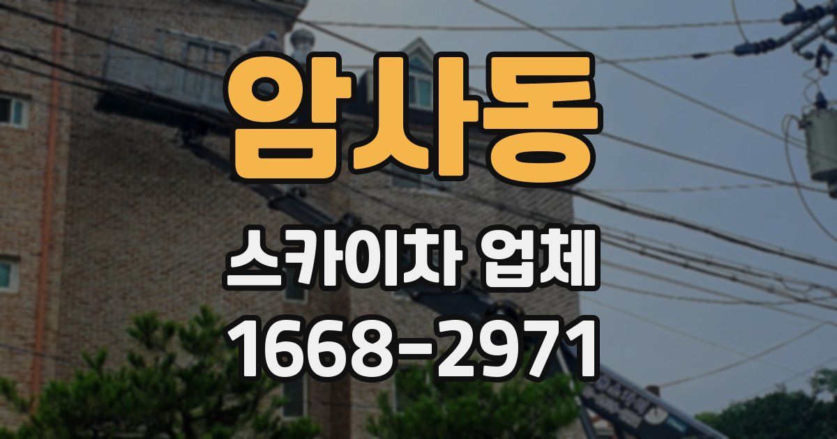 암사동 스카이차 업체