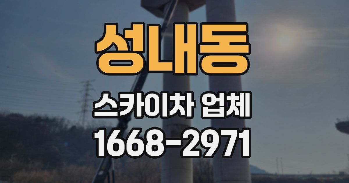 성내동 스카이차 업체