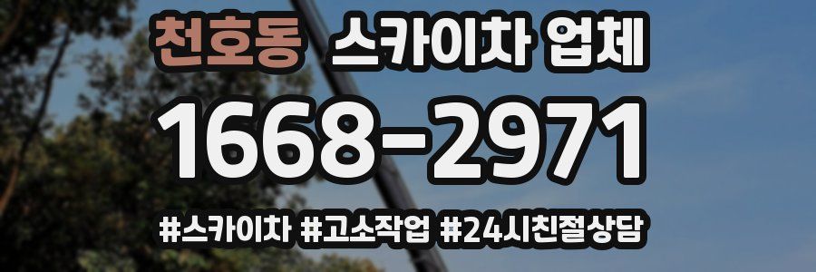 천호동 스카이차 업체