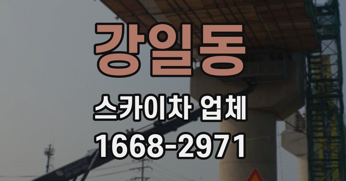 강일동 스카이차 업체