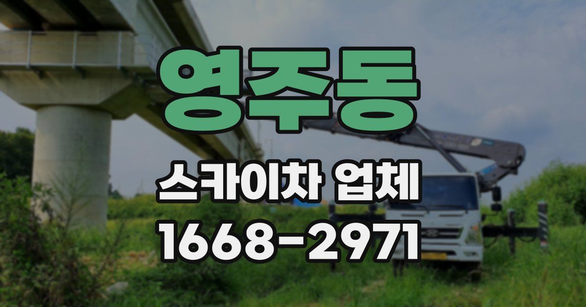 영주동 스카이차 업체