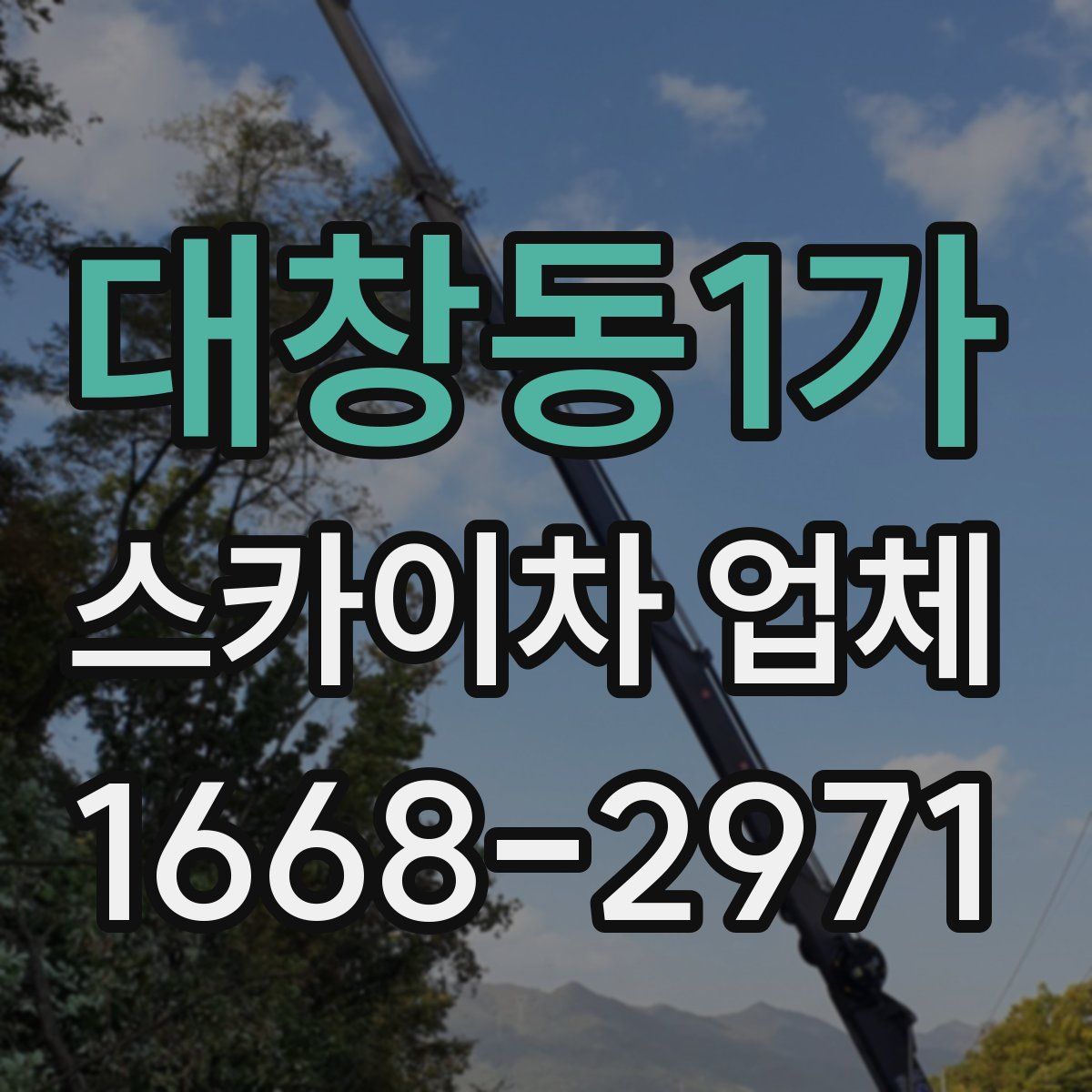 대창동1가 스카이차 업체
