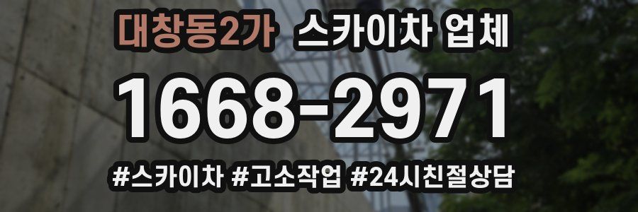 대창동2가 스카이차 업체