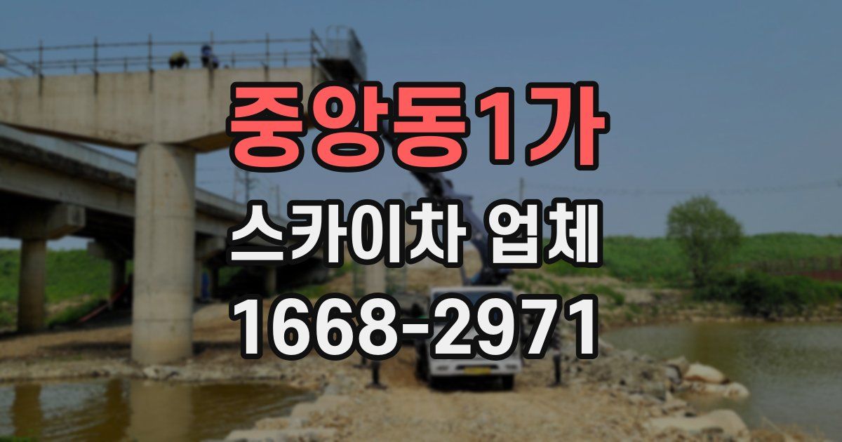 중앙동1가 스카이차 업체