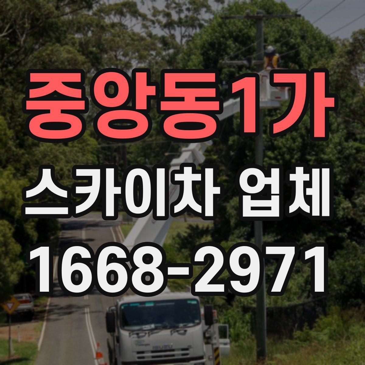 중앙동1가 스카이차 업체