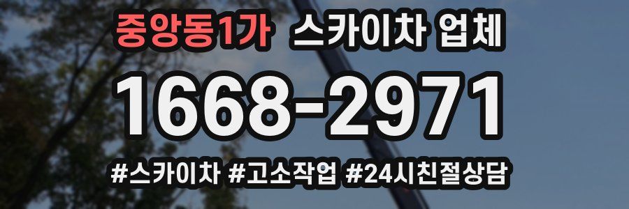 중앙동1가 스카이차 업체