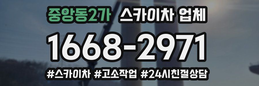 중앙동2가 스카이차 업체