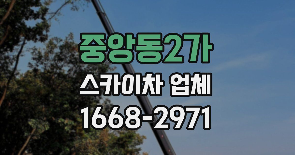 중앙동2가 스카이차 업체
