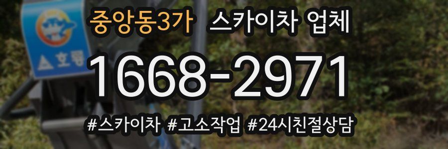 중앙동3가 스카이차 업체