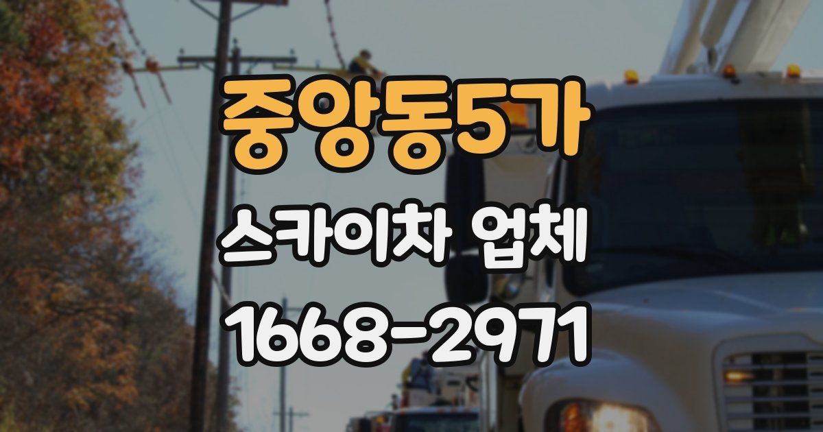 중앙동5가 스카이차 업체