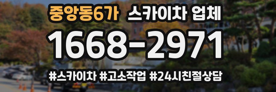 중앙동6가 스카이차 업체