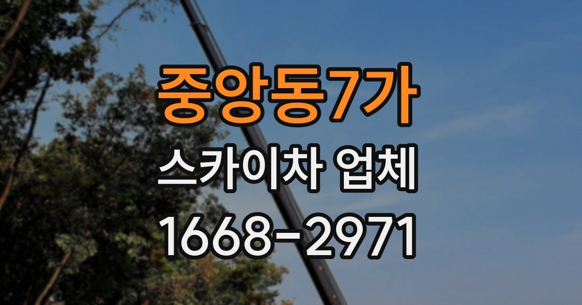 중앙동7가 스카이차 업체
