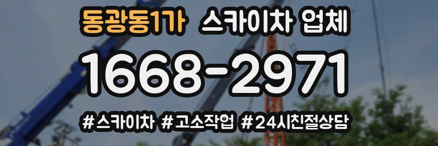 동광동1가 스카이차 업체