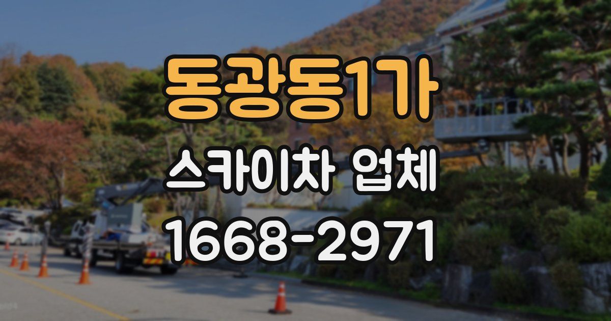 동광동1가 스카이차 업체