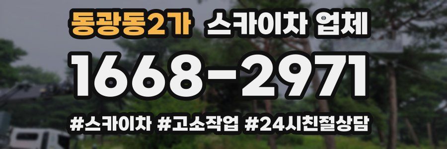 동광동2가 스카이차 업체