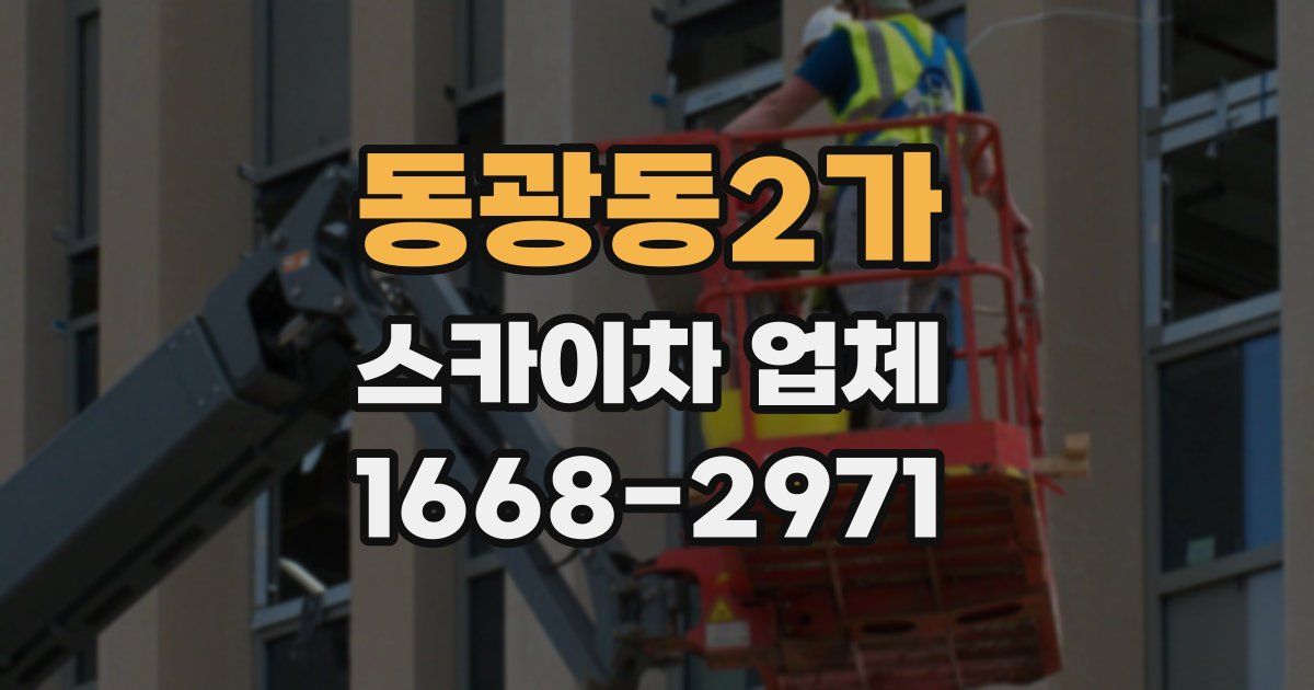동광동2가 스카이차 업체