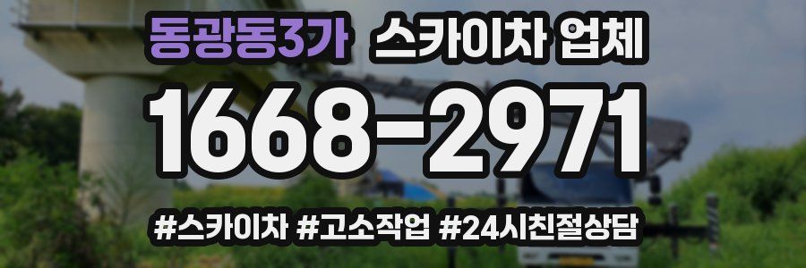 동광동3가 스카이차 업체