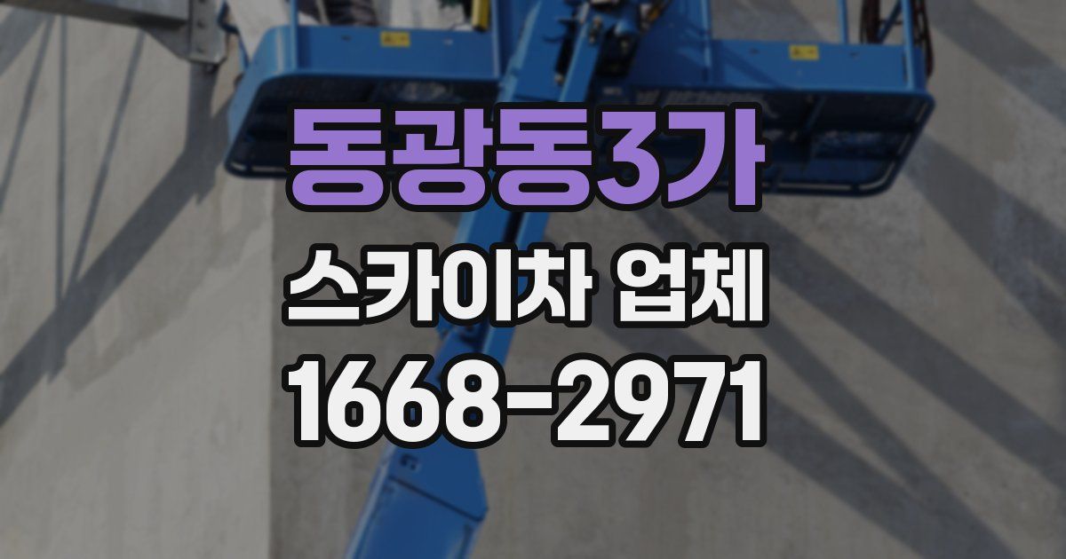 동광동3가 스카이차 업체