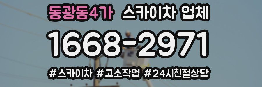 동광동4가 스카이차 업체