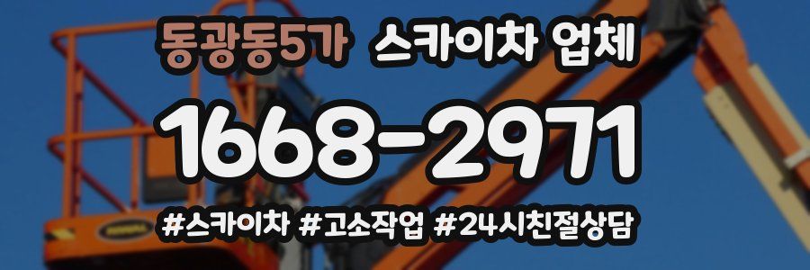 동광동5가 스카이차 업체