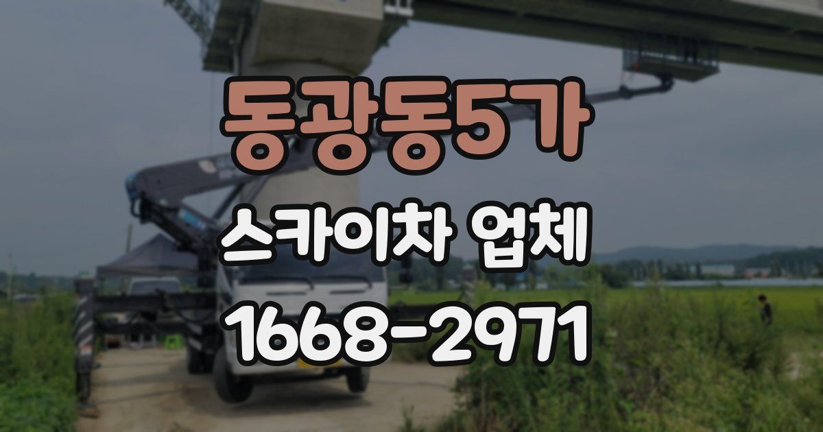 동광동5가 스카이차 업체