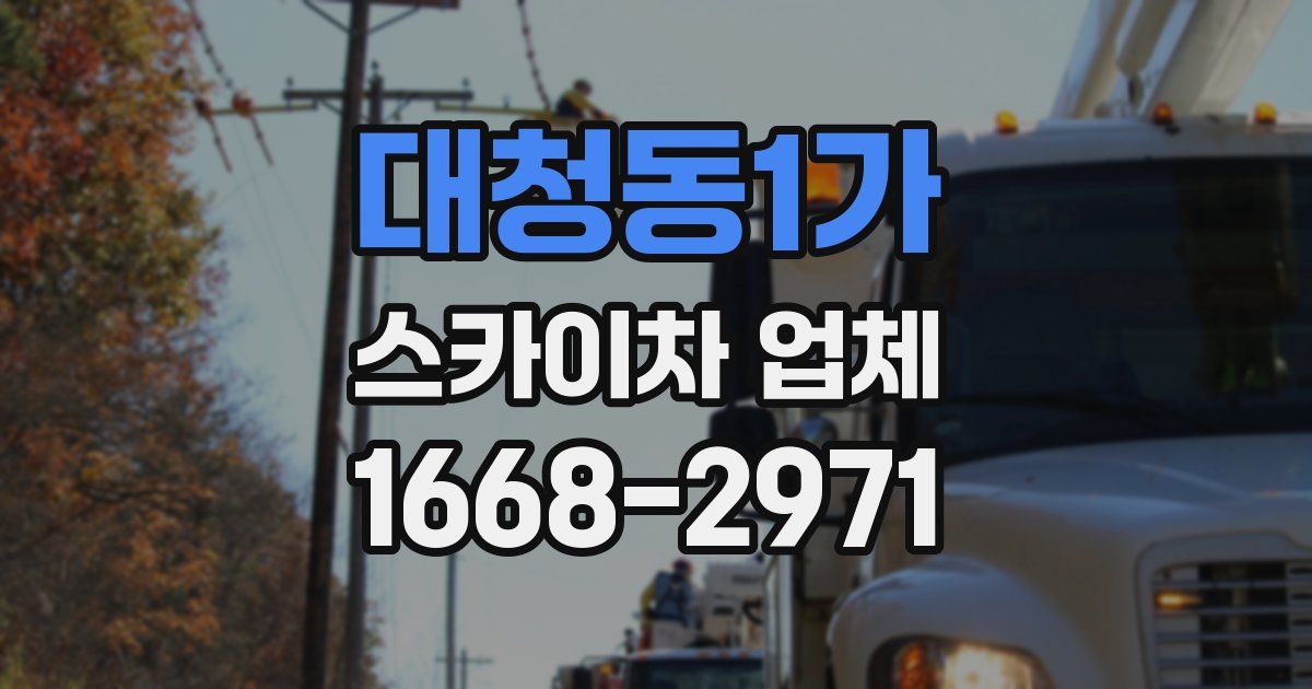 대청동1가 스카이차 업체