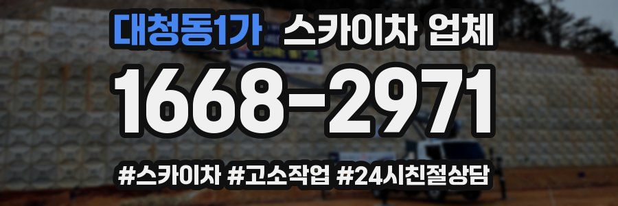 대청동1가 스카이차 업체