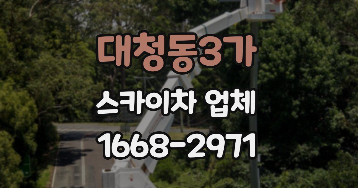 대청동3가 스카이차 업체