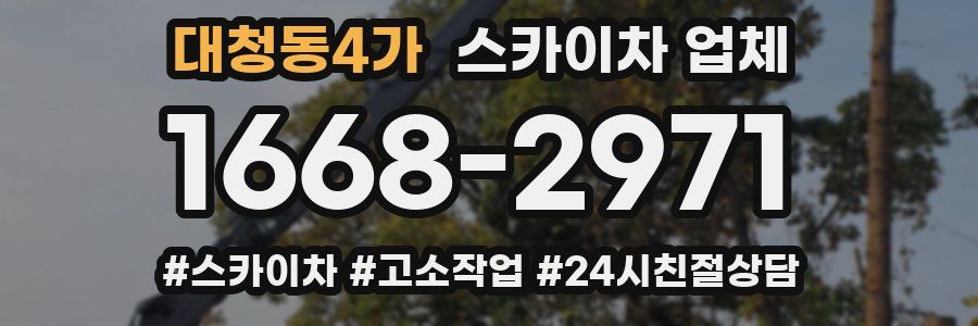 대청동4가 스카이차 업체