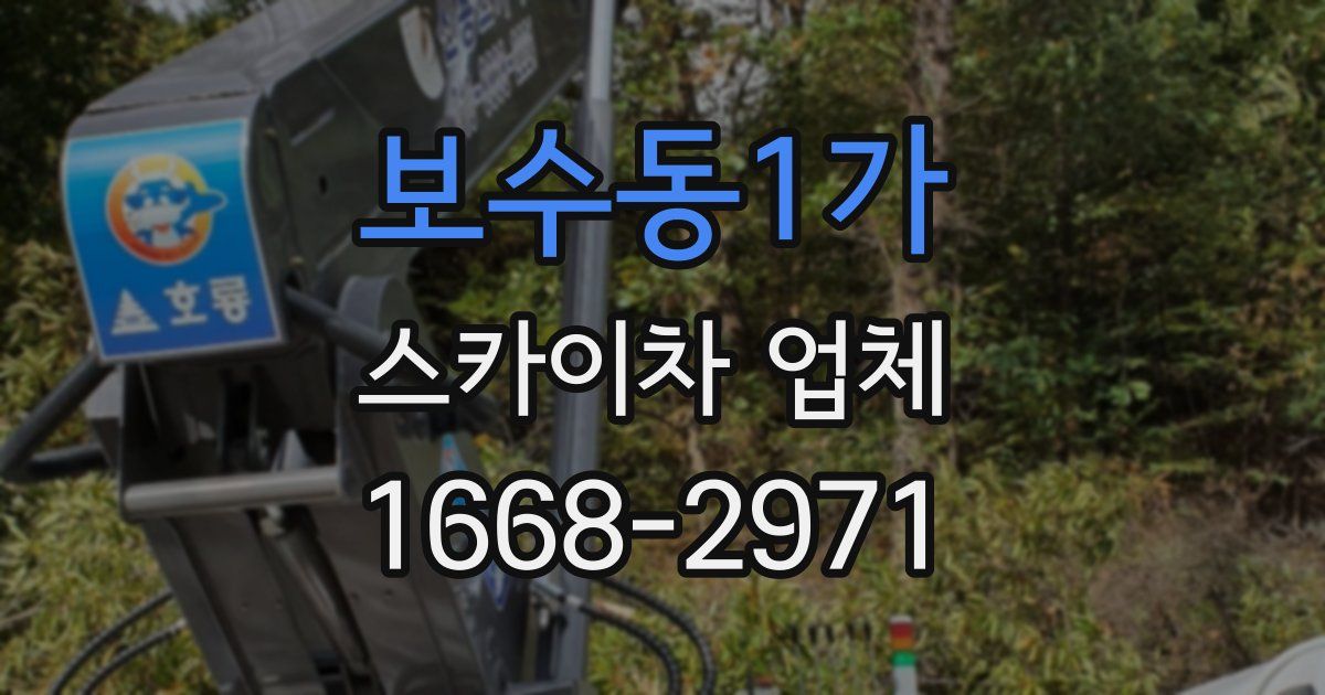 보수동1가 스카이차 업체