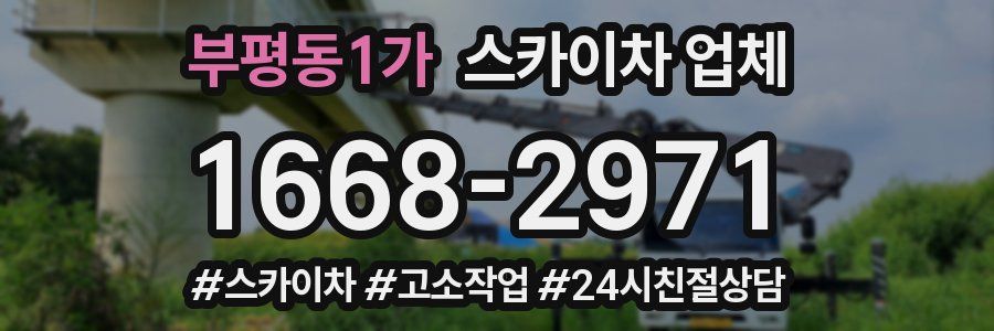 부평동1가 스카이차 업체