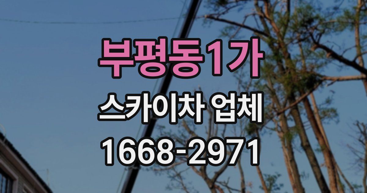 부평동1가 스카이차 업체