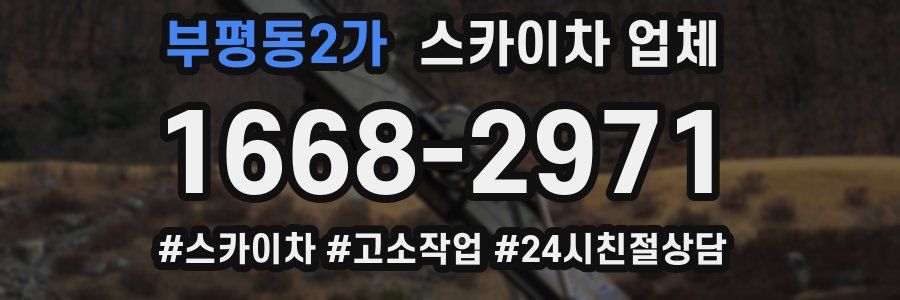 부평동2가 스카이차 업체
