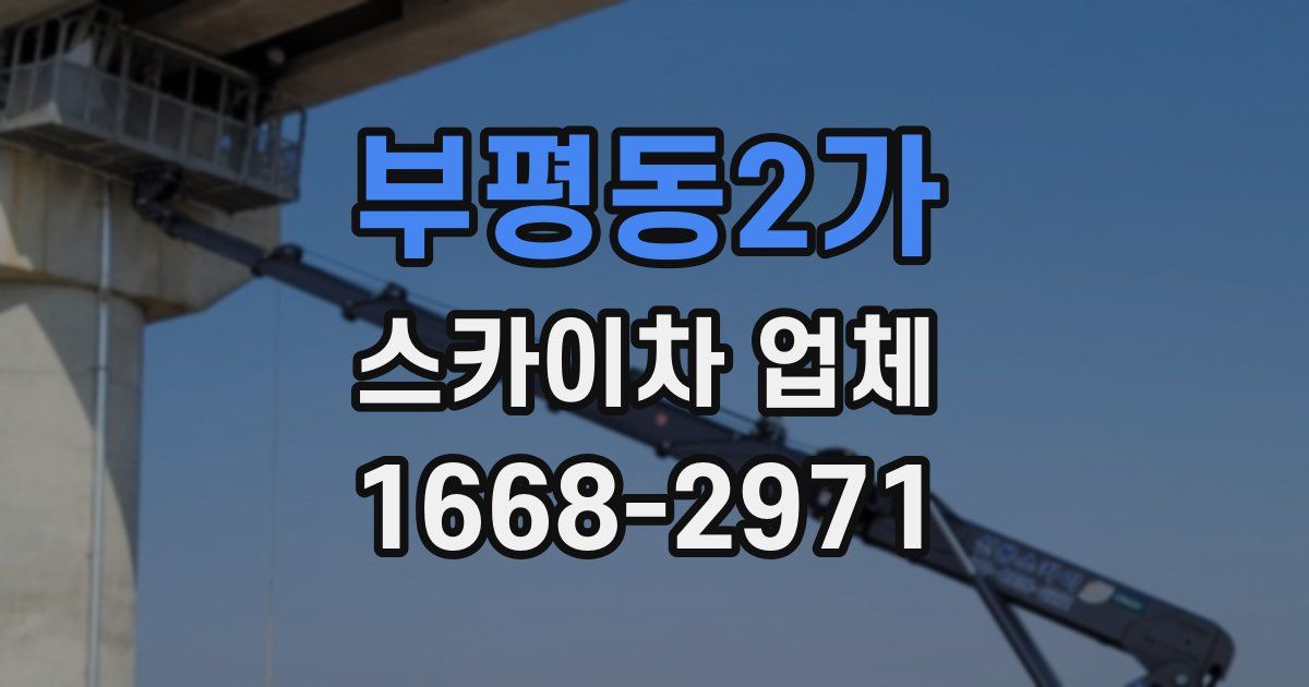 부평동2가 스카이차 업체