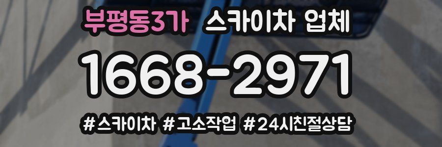 부평동3가 스카이차 업체