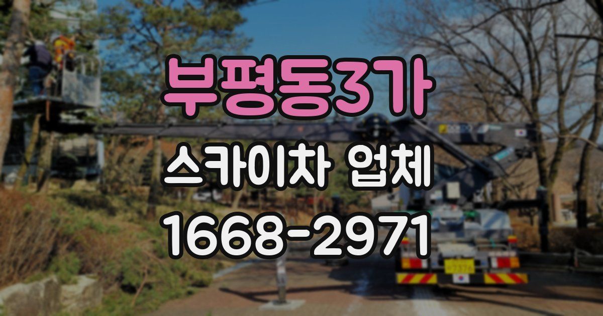 부평동3가 스카이차 업체