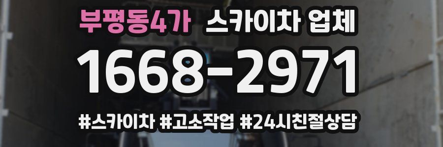 부평동4가 스카이차 업체