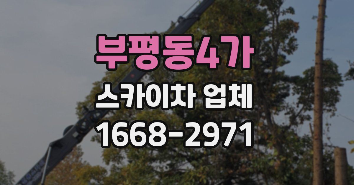 부평동4가 스카이차 업체