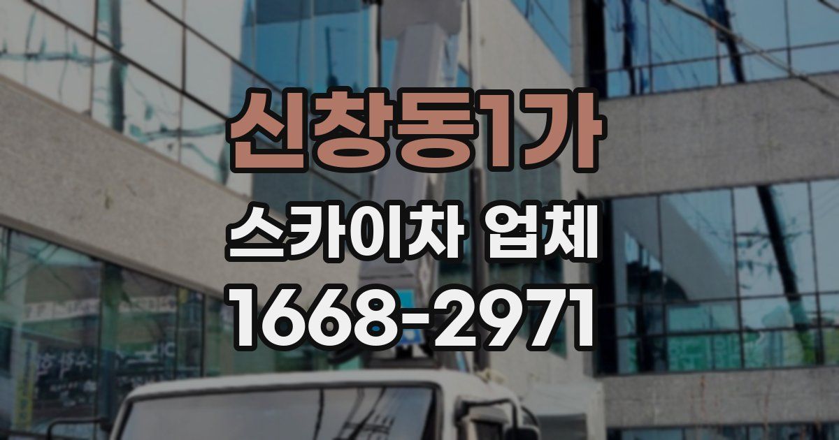 신창동1가 스카이차 업체