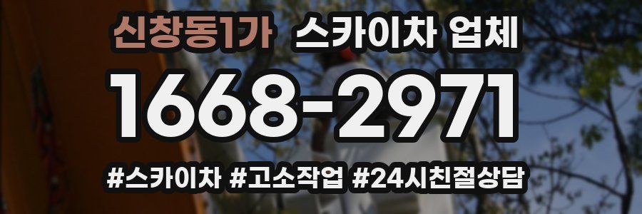 신창동1가 스카이차 업체