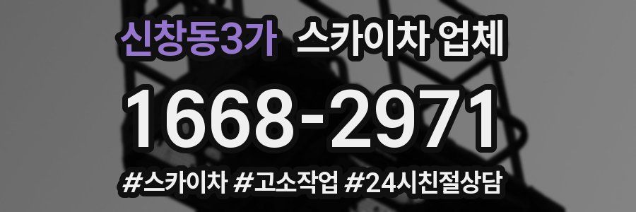 신창동3가 스카이차 업체