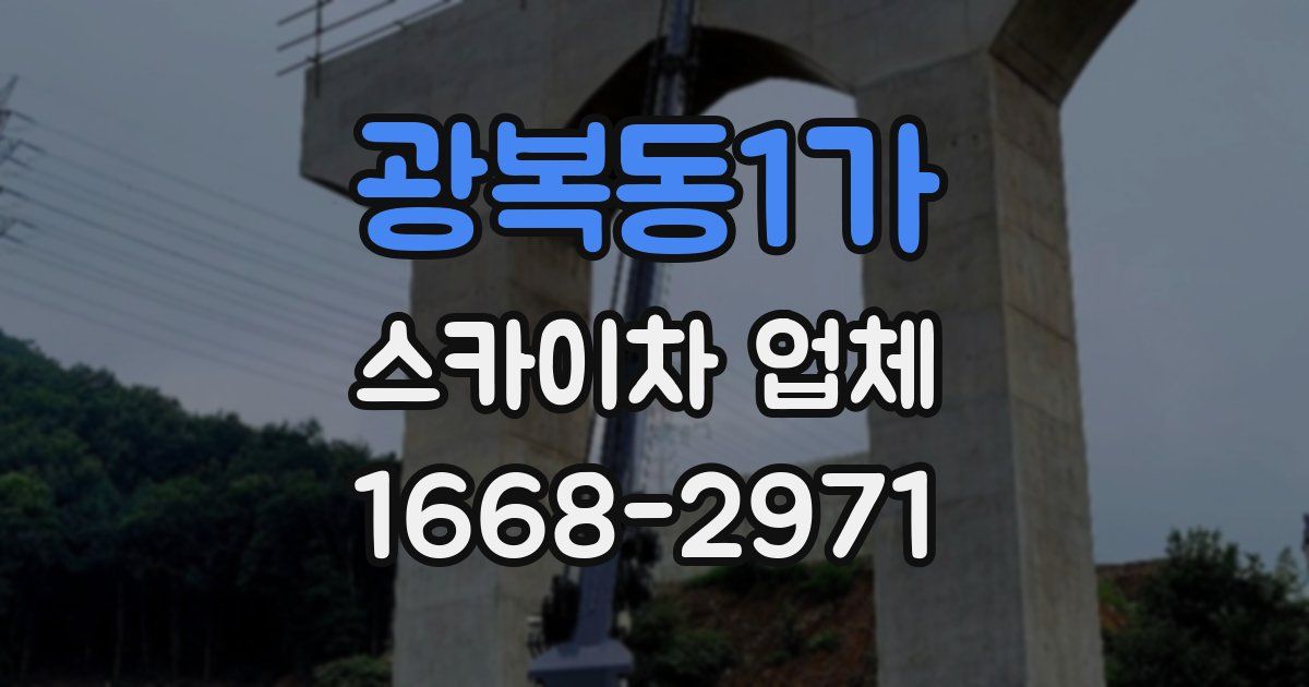 광복동1가 스카이차 업체