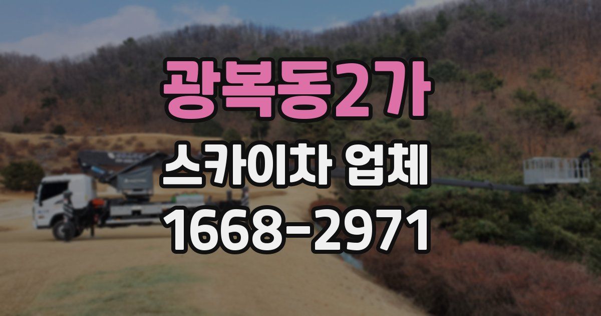 광복동2가 스카이차 업체