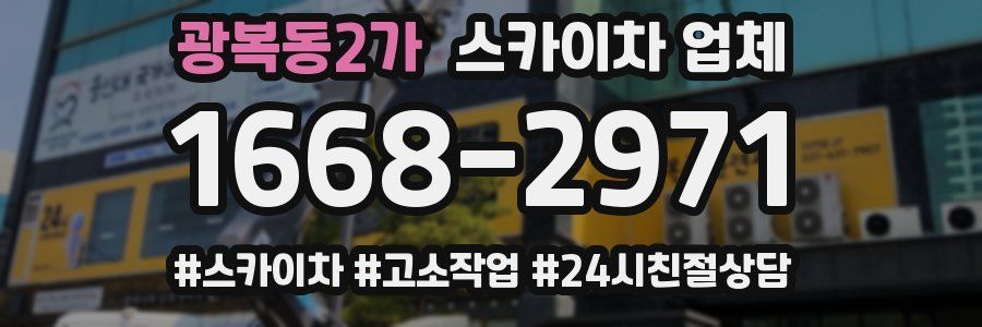 광복동2가 스카이차 업체