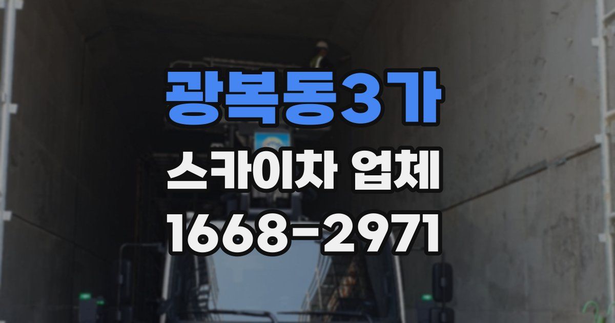 광복동3가 스카이차 업체