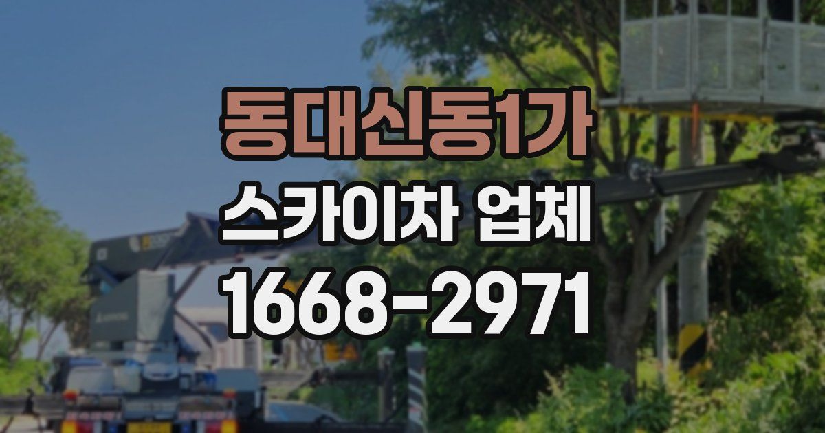 동대신동1가 스카이차 업체