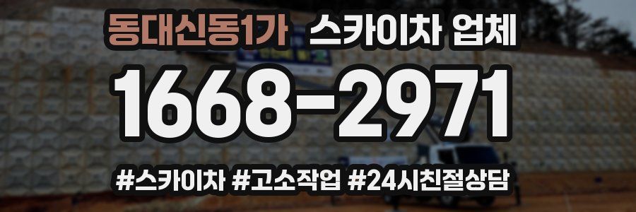 동대신동1가 스카이차 업체