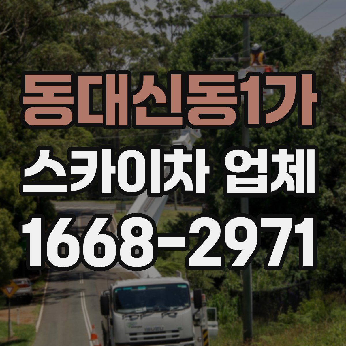 동대신동1가 스카이차 업체