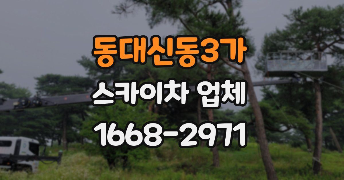 동대신동3가 스카이차 업체