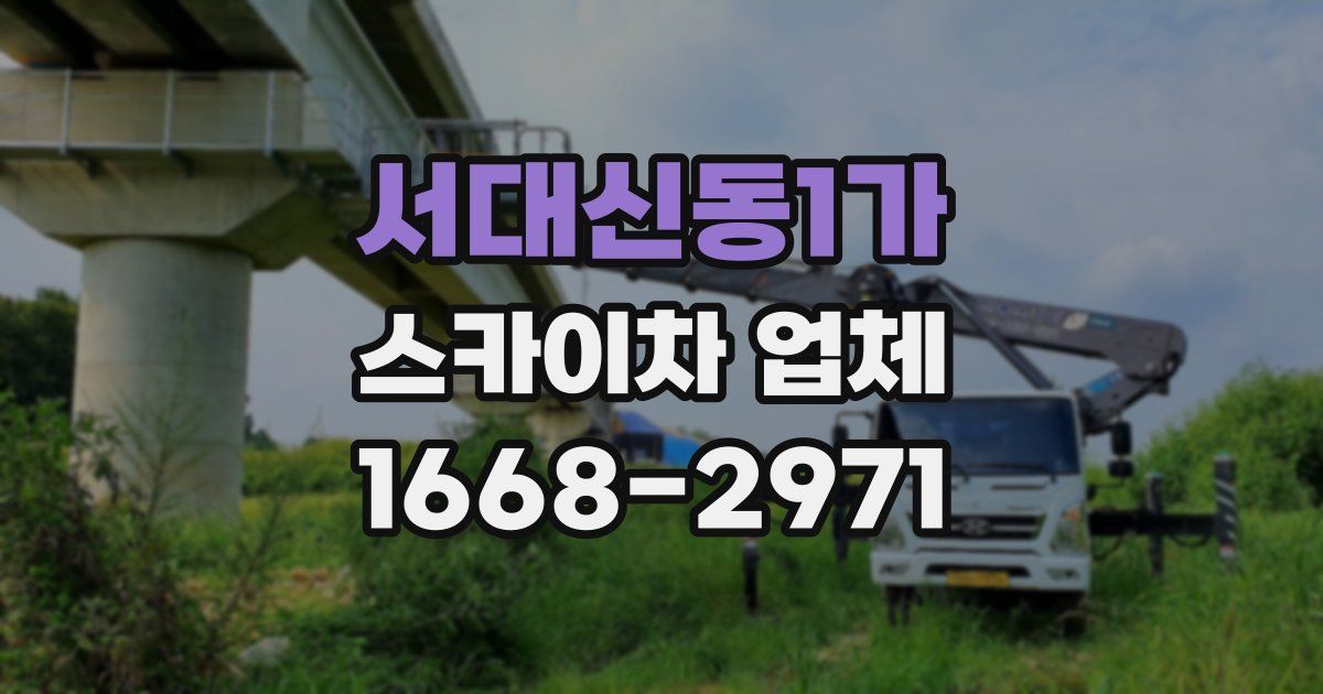 서대신동1가 스카이차 업체
